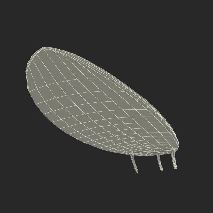 3D Surfboard Funboard model