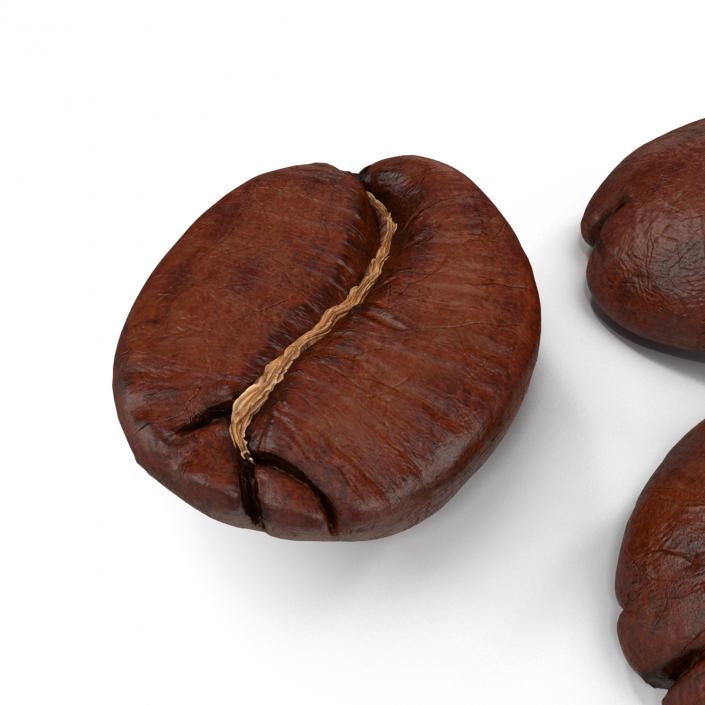 Roasted Coffee Bean 3D model