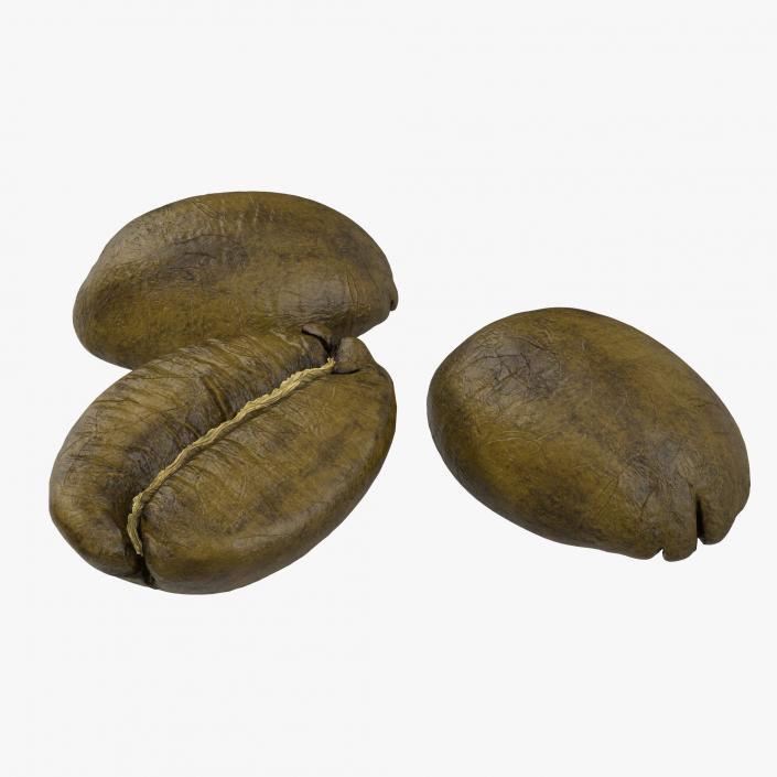 3D model Roasted Green Coffee Bean