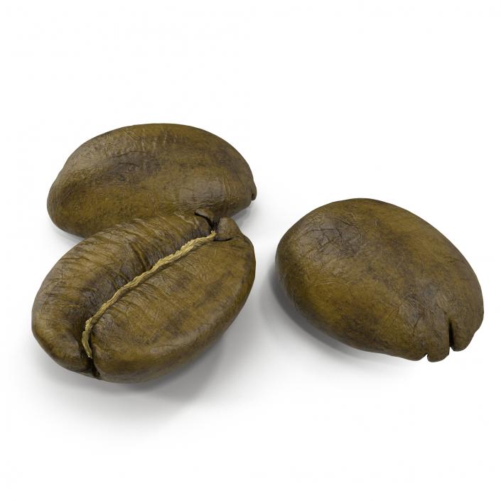 3D model Roasted Green Coffee Bean