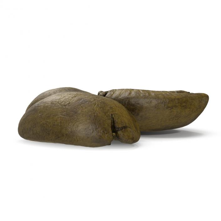 3D model Roasted Green Coffee Bean