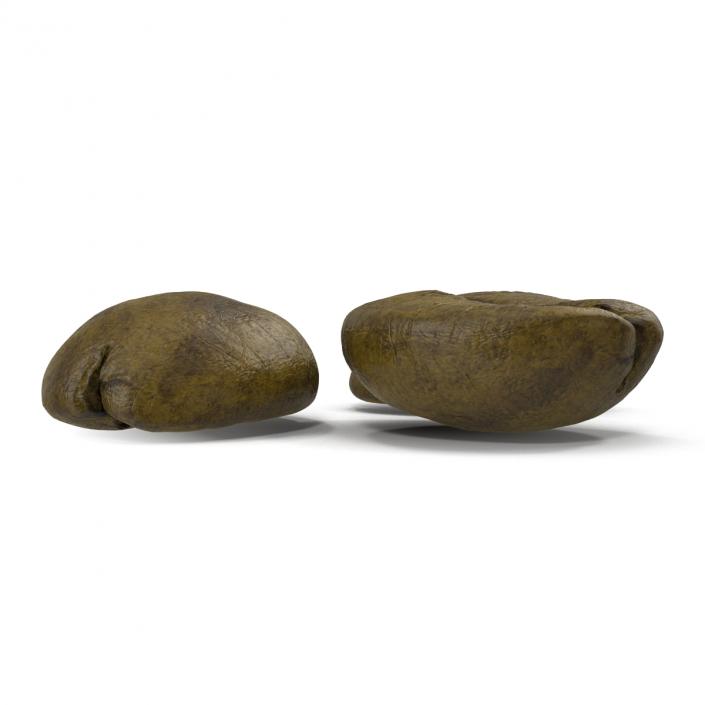 3D model Roasted Green Coffee Bean