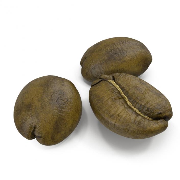 3D model Roasted Green Coffee Bean