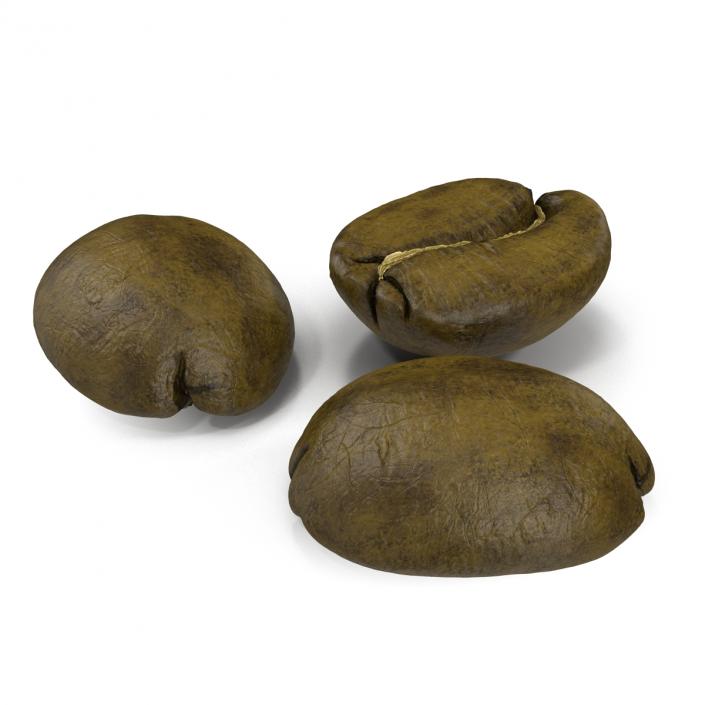 3D model Roasted Green Coffee Bean