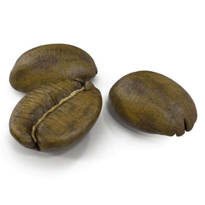 3D model Roasted Green Coffee Bean