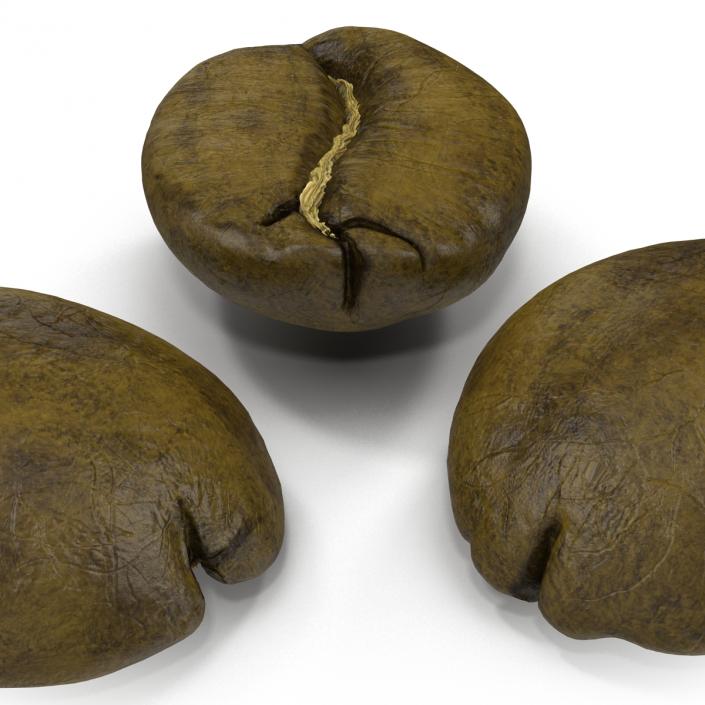 3D model Roasted Green Coffee Bean