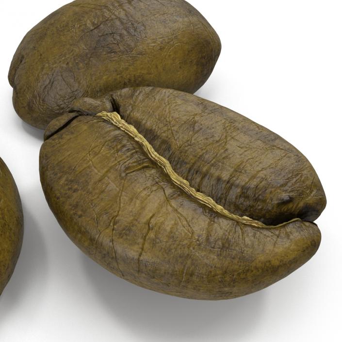 3D model Roasted Green Coffee Bean