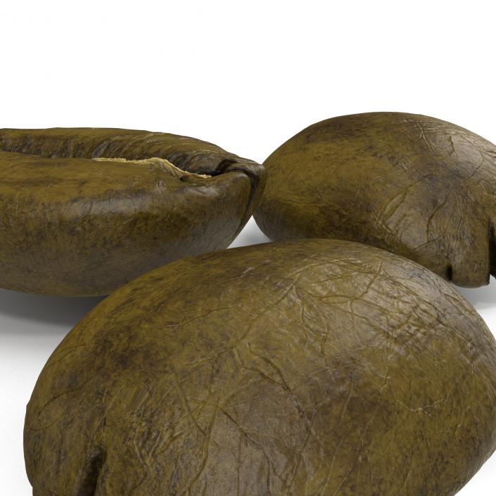 3D model Roasted Green Coffee Bean