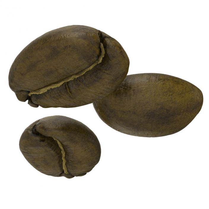 3D model Roasted Green Coffee Bean