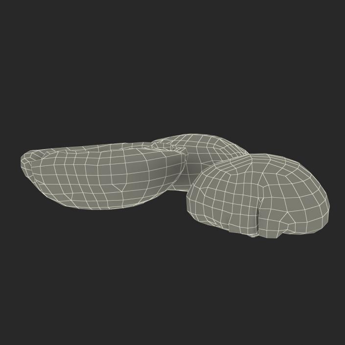 3D model Roasted Green Coffee Bean