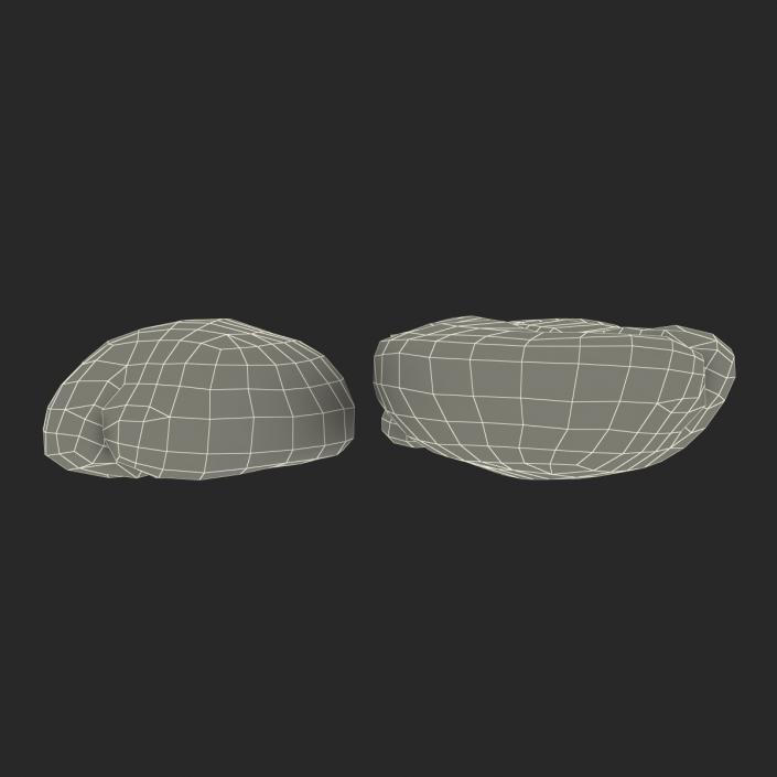 3D model Roasted Green Coffee Bean