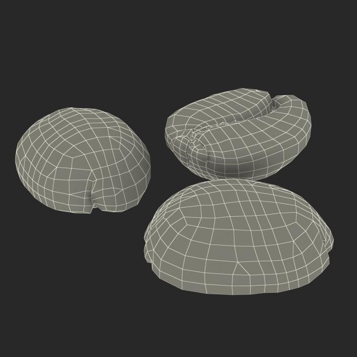 3D model Roasted Green Coffee Bean