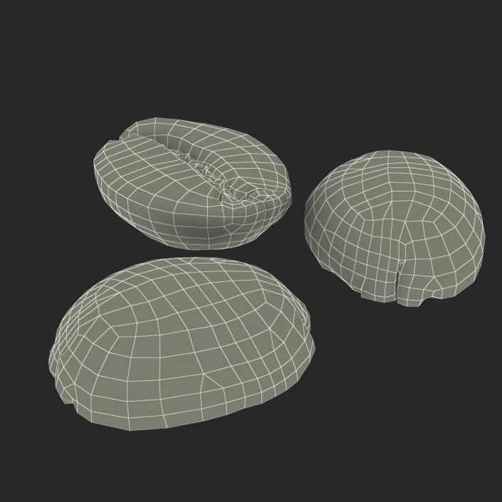 3D model Roasted Green Coffee Bean