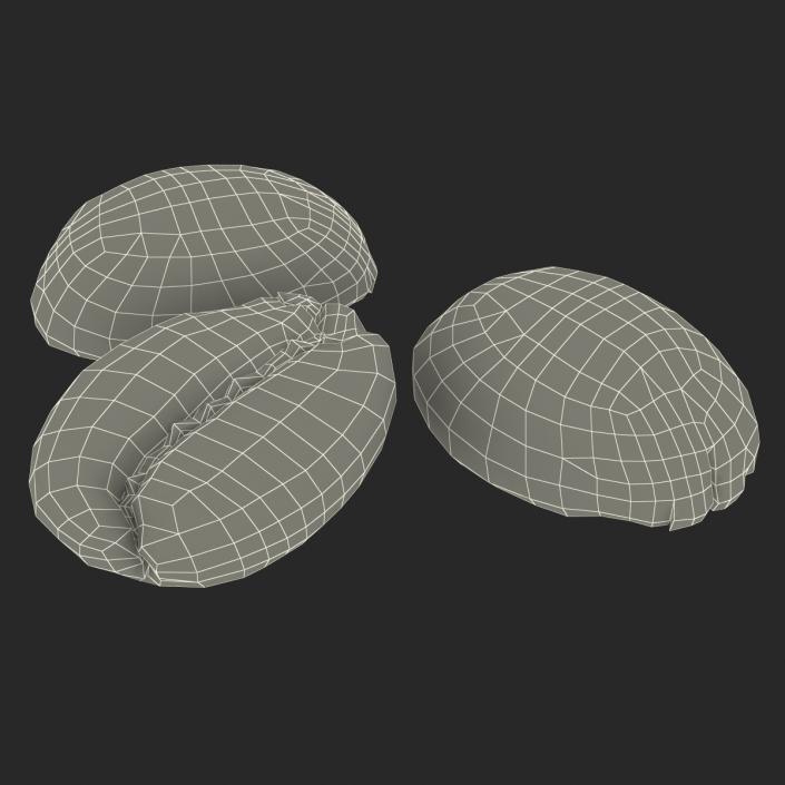 3D model Roasted Green Coffee Bean