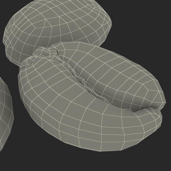 3D model Roasted Green Coffee Bean