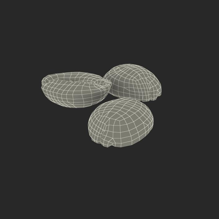 3D model Roasted Green Coffee Bean