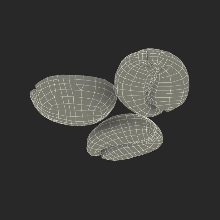 3D model Roasted Green Coffee Bean