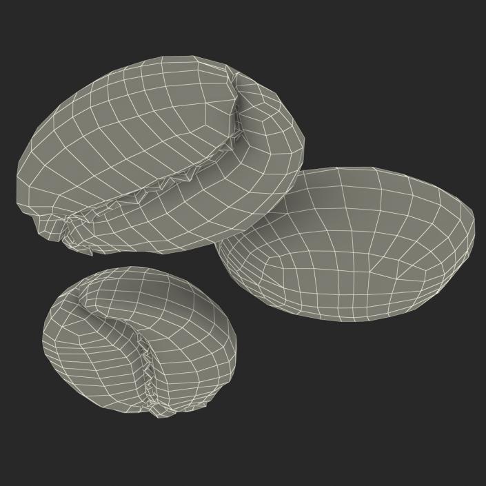 3D model Roasted Green Coffee Bean