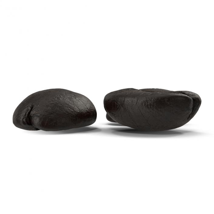 3D Roasted French Coffee Bean