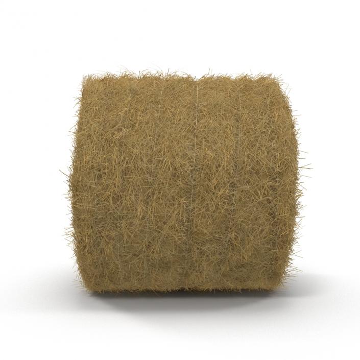 3D model Hay Roll