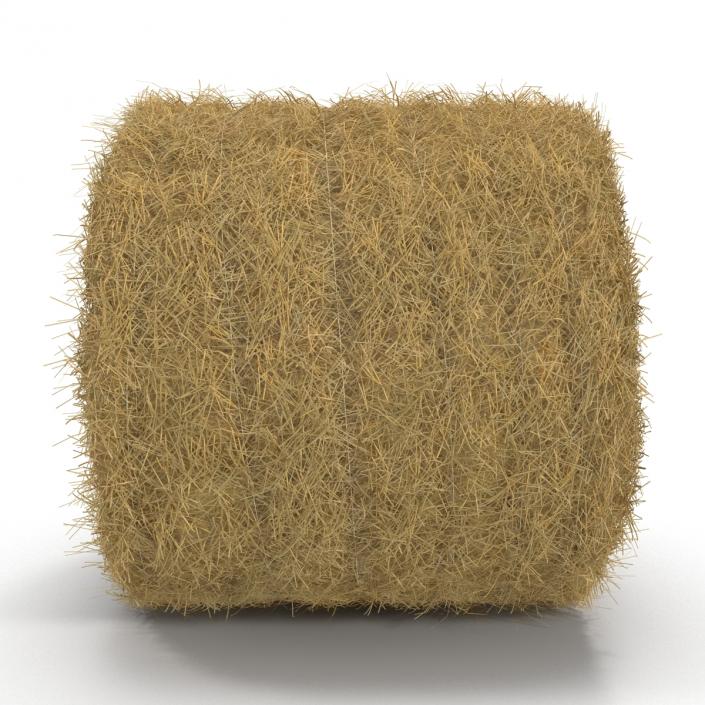 3D model Hay Roll