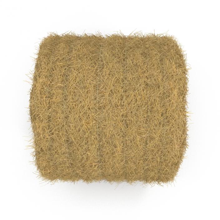 3D model Hay Roll