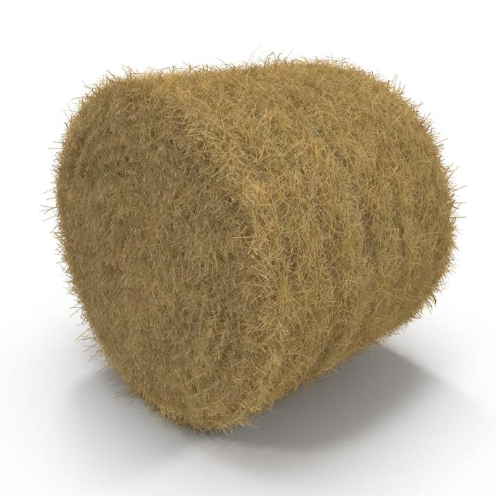 3D model Hay Roll