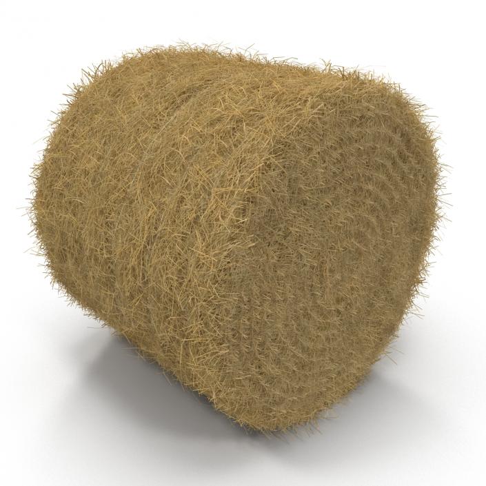 3D model Hay Roll