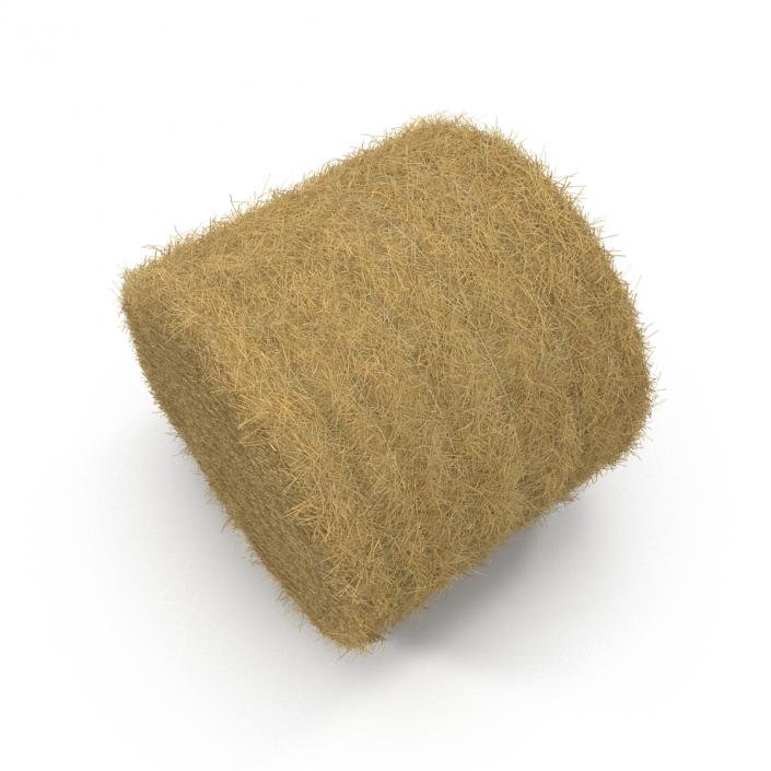 3D model Hay Roll