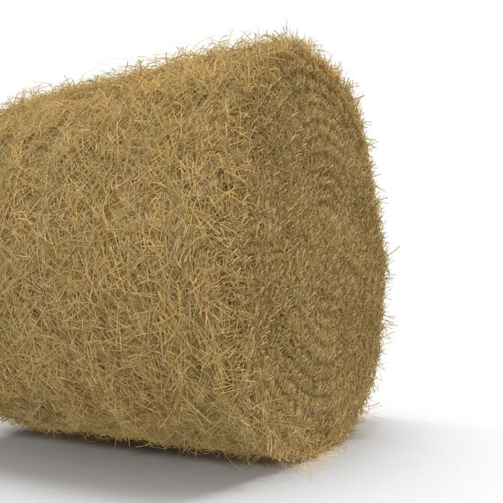 3D model Hay Roll