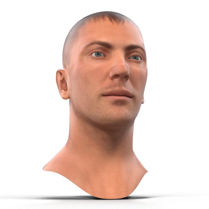 Caucasian Male Head 3D model