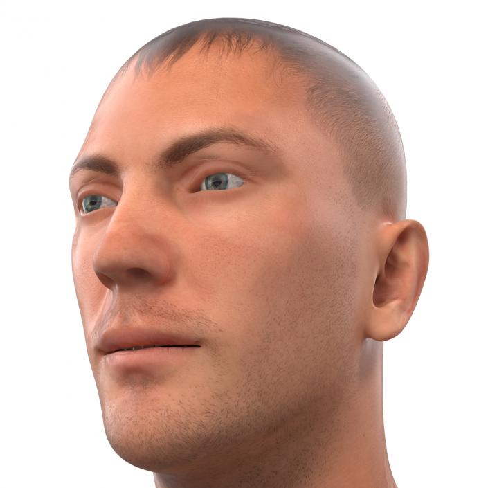 Caucasian Male Head 3D model