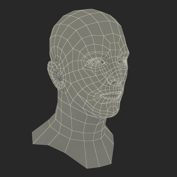 Caucasian Male Head 3D model