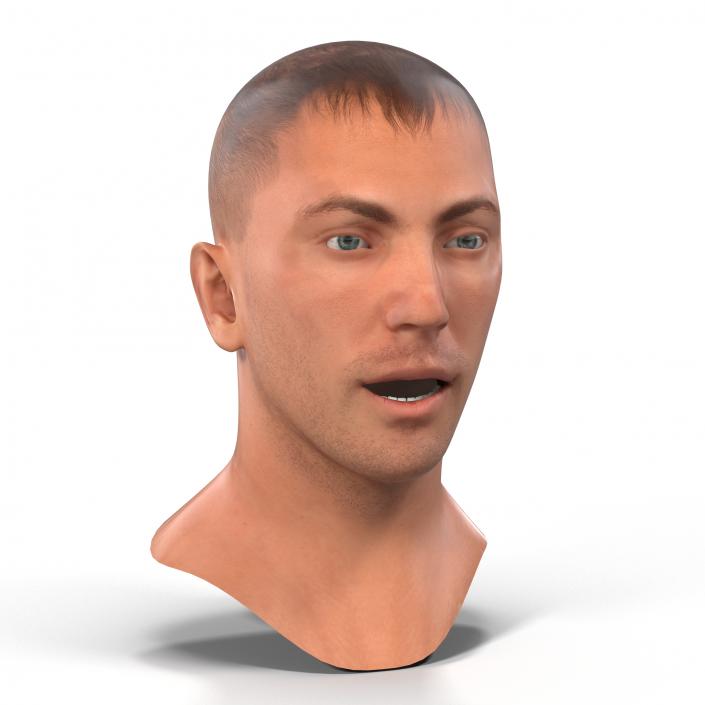 3D Caucasian Male Head Rigged