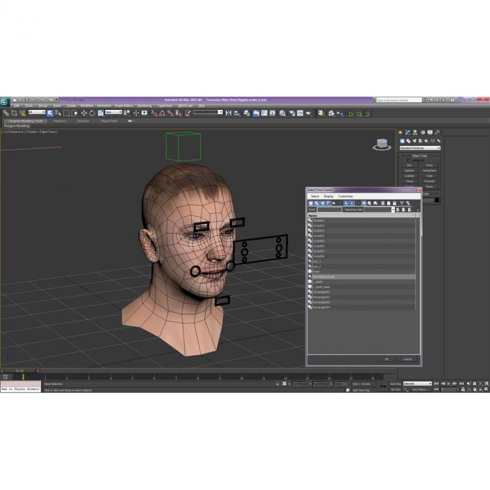 3D Caucasian Male Head Rigged