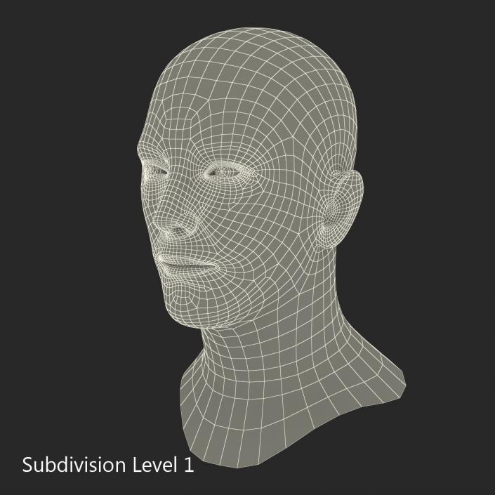 3D Caucasian Male Head Rigged