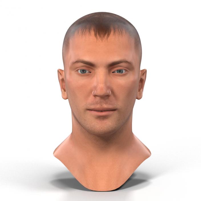 3D Caucasian Male Head Rigged