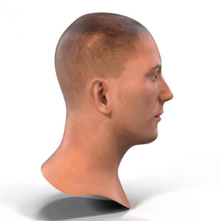 3D Caucasian Male Head Rigged