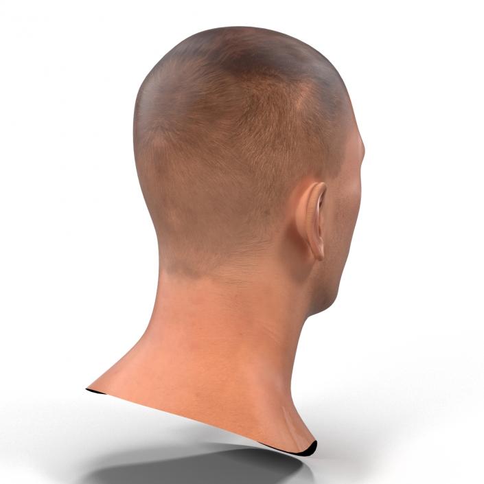 3D Caucasian Male Head Rigged