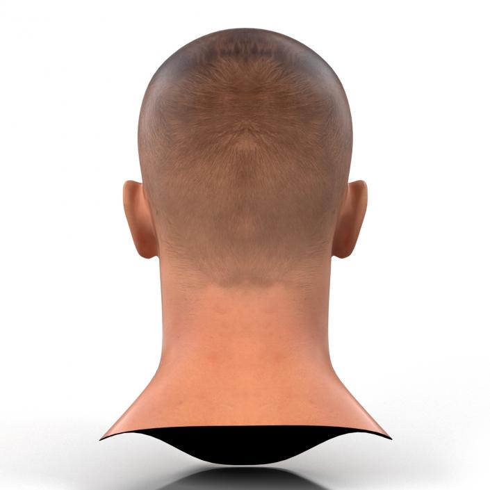 3D Caucasian Male Head Rigged