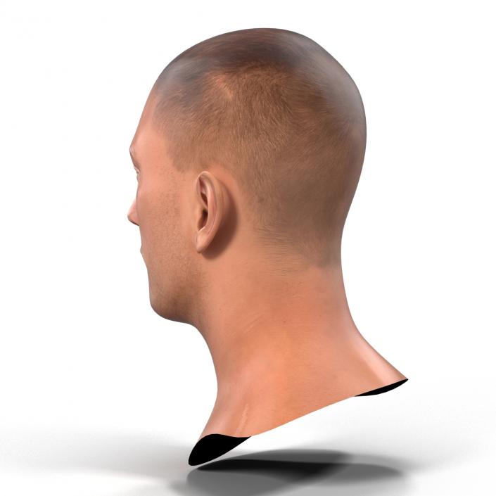 3D Caucasian Male Head Rigged