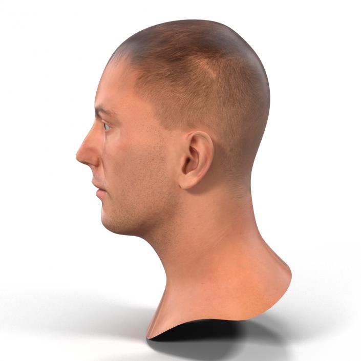 3D Caucasian Male Head Rigged