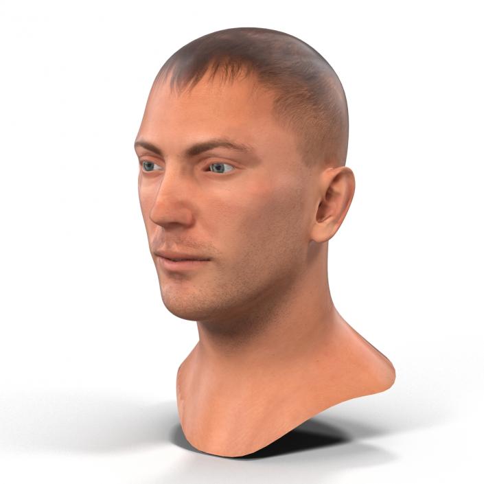 3D Caucasian Male Head Rigged