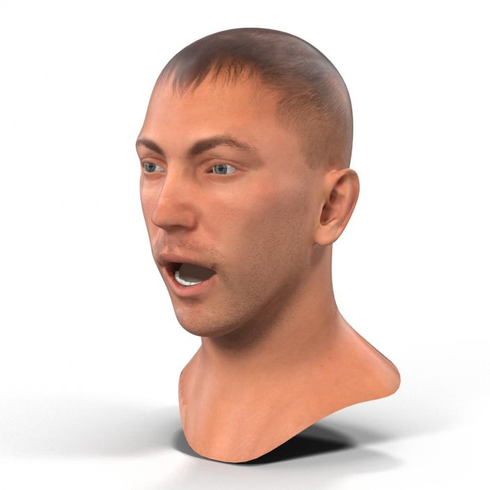 3D Caucasian Male Head Rigged