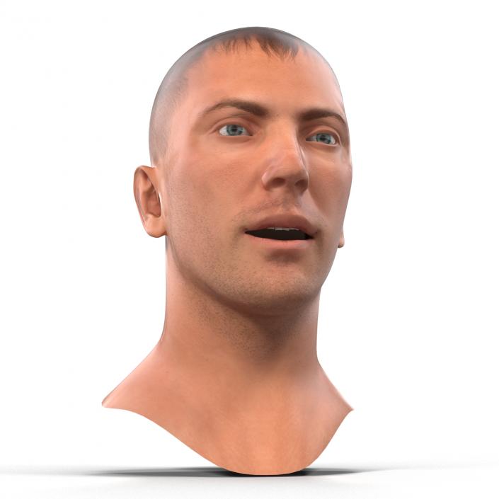 3D Caucasian Male Head Rigged