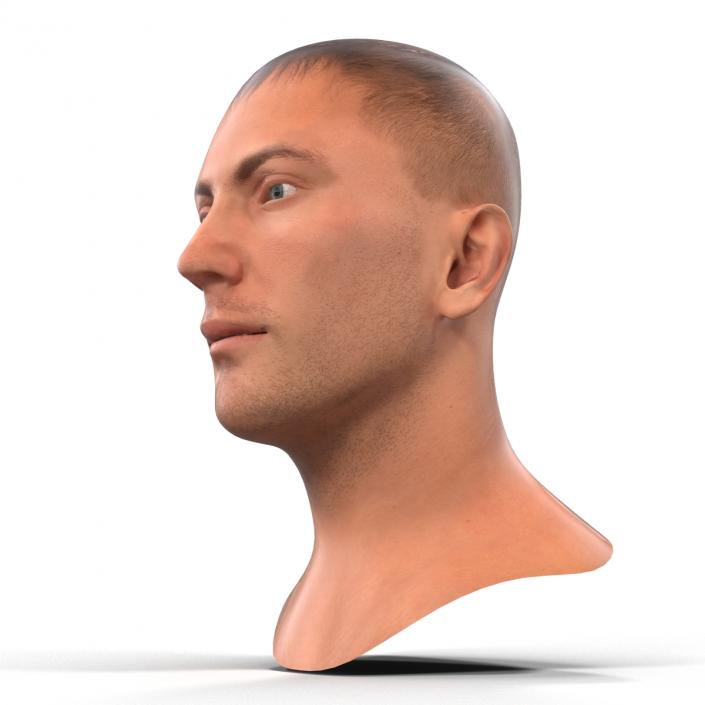 3D Caucasian Male Head Rigged