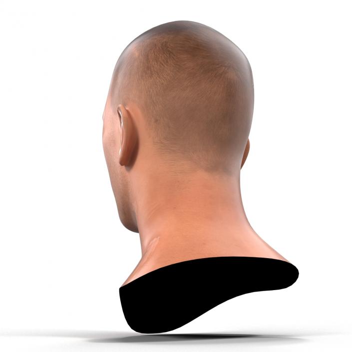 3D Caucasian Male Head Rigged