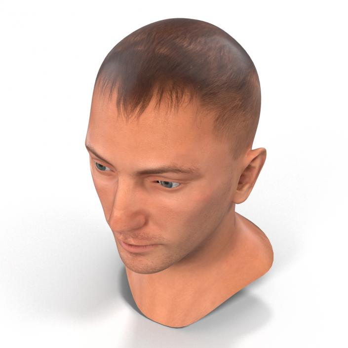 3D Caucasian Male Head Rigged