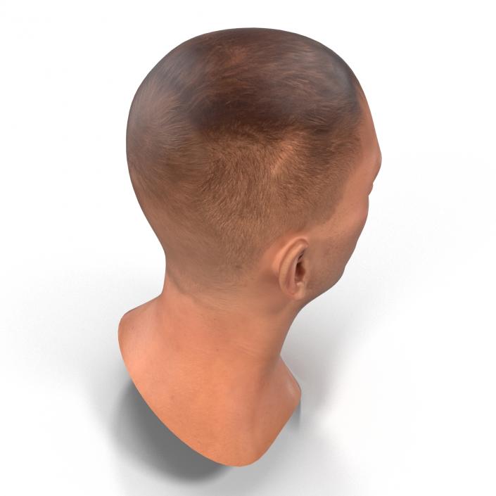 3D Caucasian Male Head Rigged