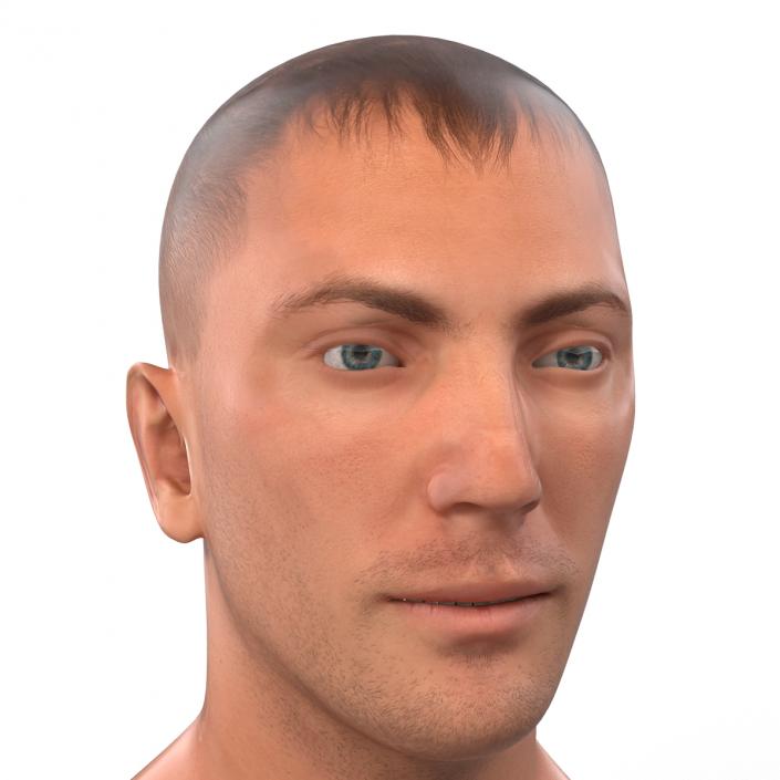 3D Caucasian Male Head Rigged